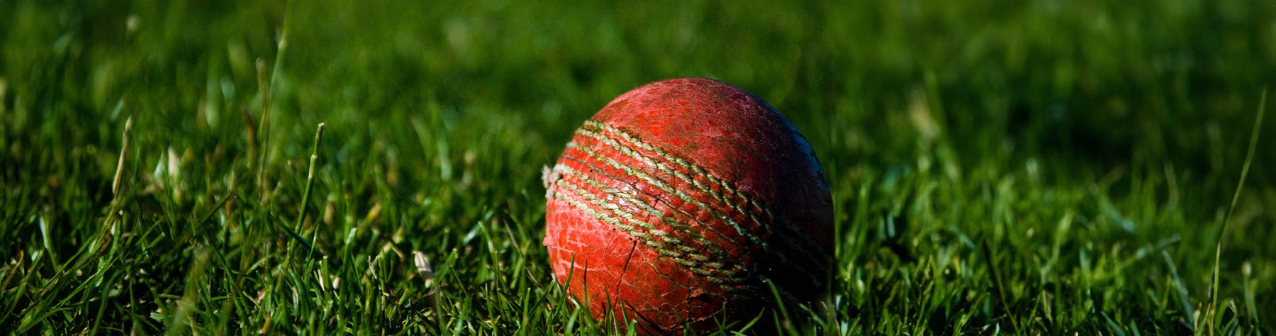 Cricket Nutrition 101: A Comprehensive Guide for Players