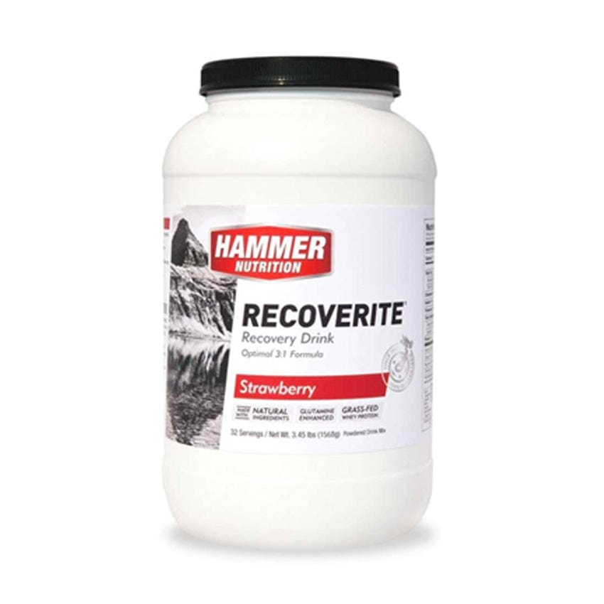 Hammer Nutrition Protein Drink 32 Serving Tub (1568g) / Strawberry Recoverite XMiles