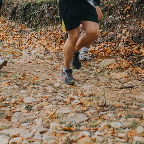 Top 10 Trail Running Tips for Beginners