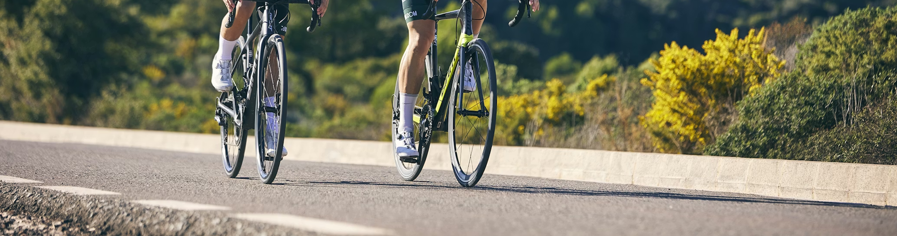 Best Energy Bars for Cycling Events