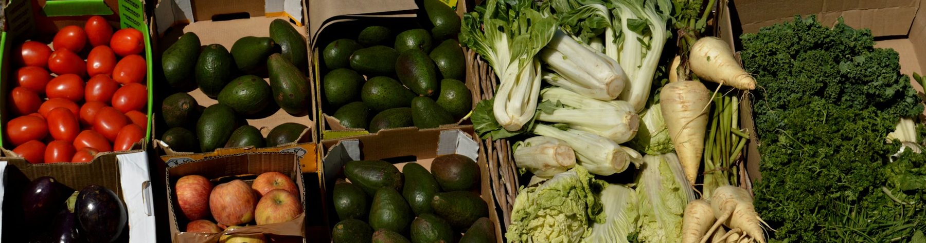 Plant-Based Nutrition for Endurance Training