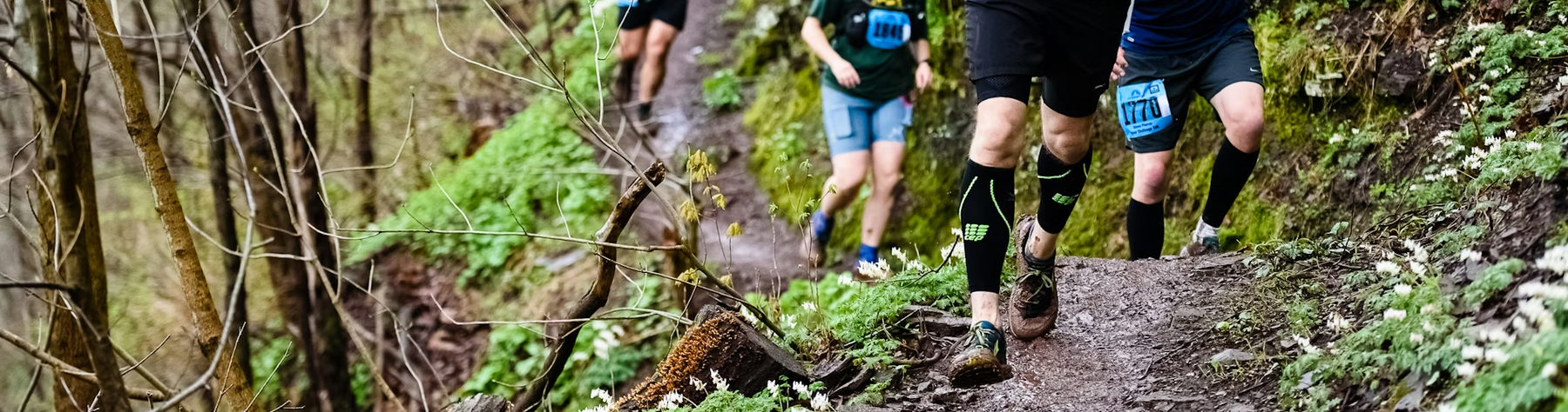 Best Energy Bars for an Ultra Marathon