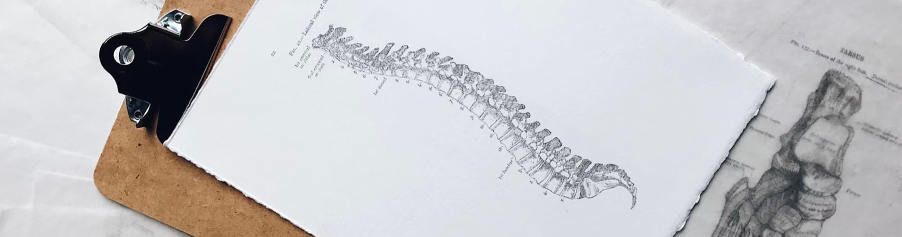 Vitamin D3 and Bone Health: Building Stronger Bones