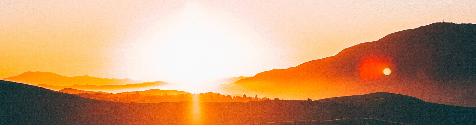 Fuelling Your Morning Runs: Nutrition Tips