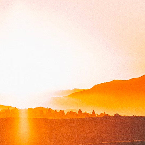 Fuelling Your Morning Runs: Nutrition Tips