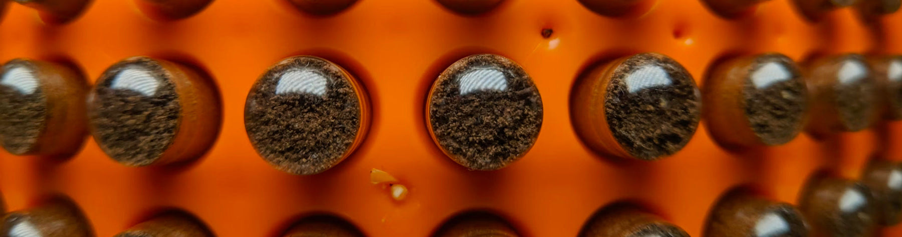 Nootropics: Exploring Cognitive Enhancement Supplements