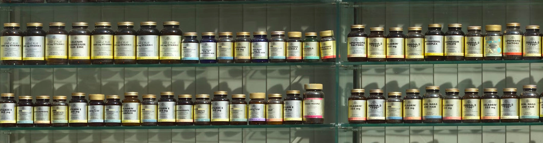 How Supplements Enhance Cognitive Function