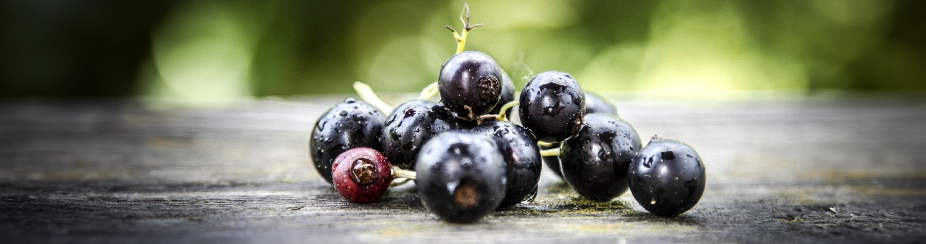 New Study Shows CurraNZ Targets “Endurance Engine” Muscle Fibres to Boost High-Intensity Running Performance