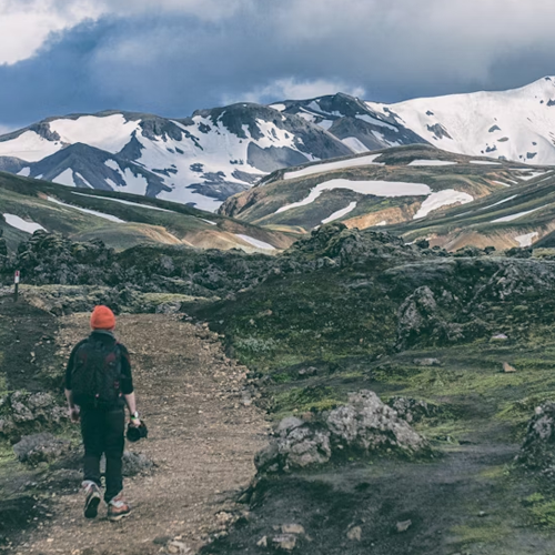 The Mental Health Benefits of Hiking and Nature Therapy