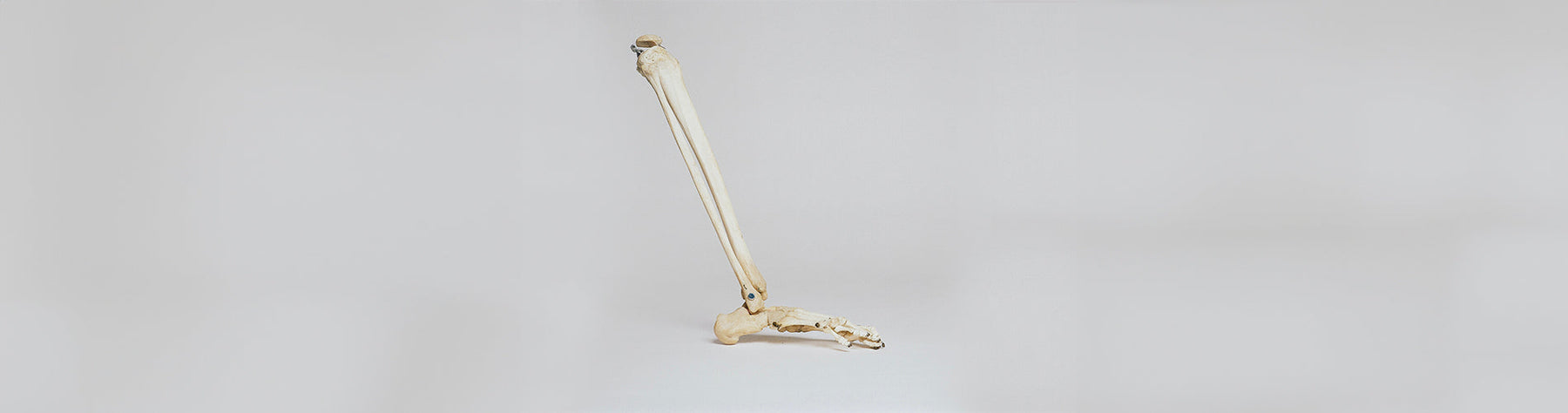 Omega-3 Supplements for Joint Pain: What Science Says