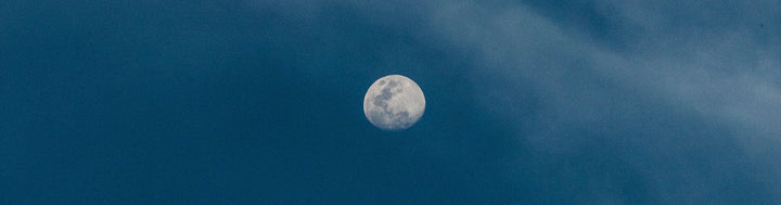 Why Sleep Is Important