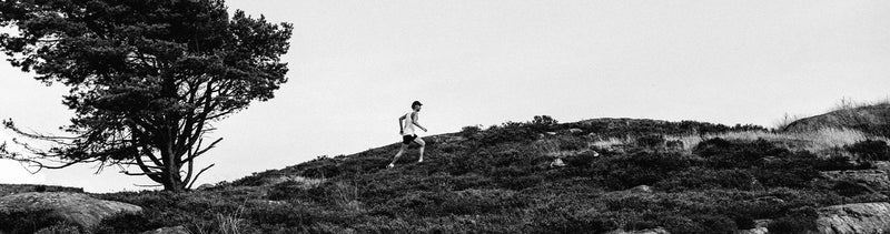 Sports Nutrition for Beginners workout