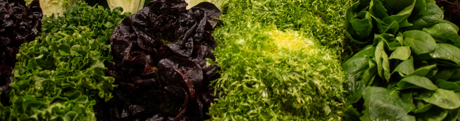 Unveiling the Power of Superfood Supplements: What Are They?