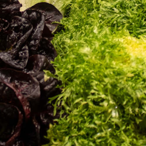 Unveiling the Power of Superfood Supplements: What Are They?