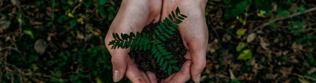 XMiles: Sustainability & Success