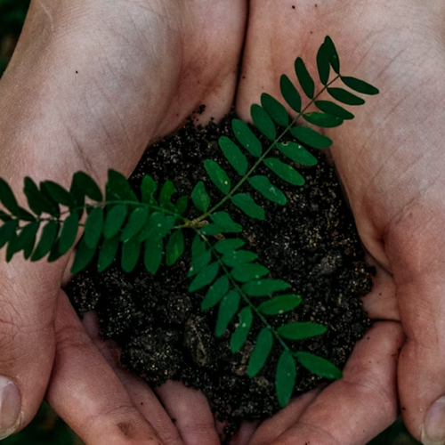 XMiles: Sustainability & Success