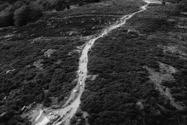 Maurten Starter Kit