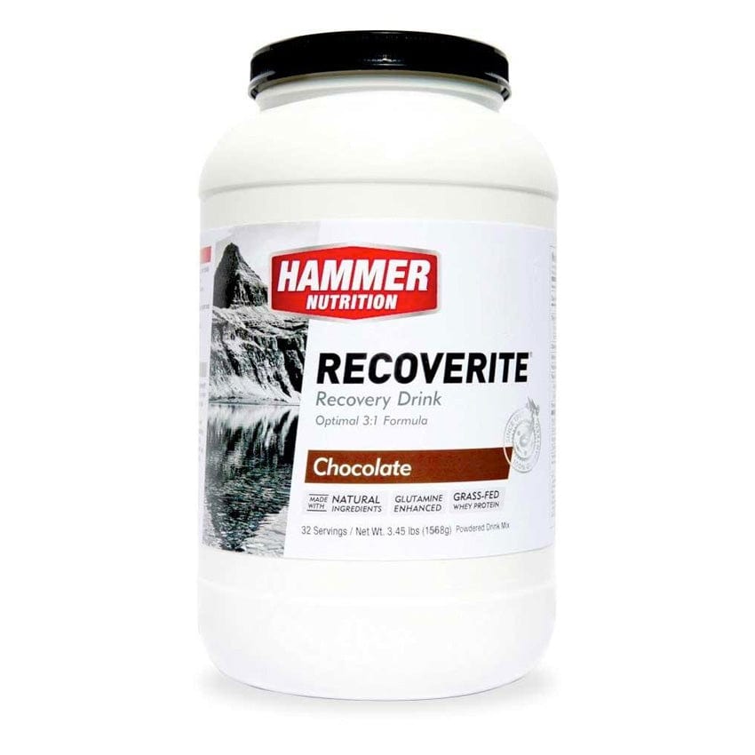 Hammer Nutrition Protein Drink 32 Serving Tub (1568g) / Chocolate Recoverite XMiles
