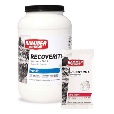 Hammer Nutrition Protein Drink Recoverite XMiles