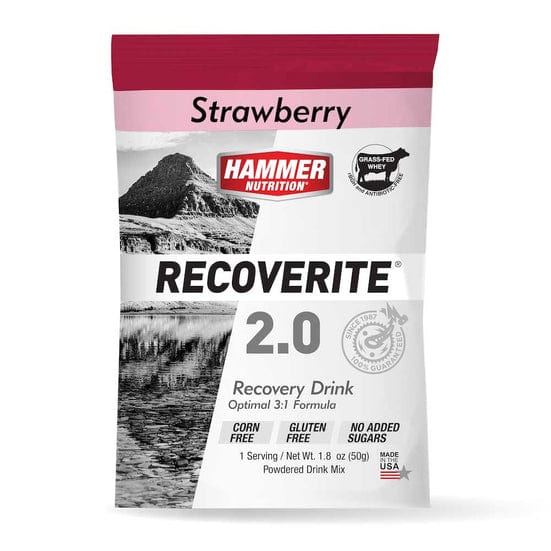 Hammer Nutrition Protein Drink Single Serve / Strawberry Recoverite 2.0 XMiles