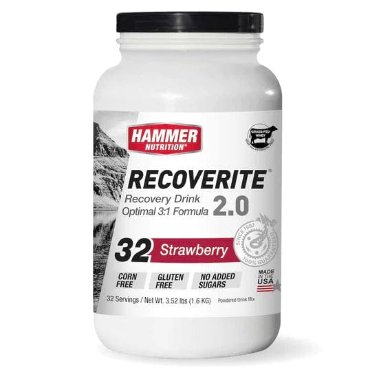 Hammer Nutrition Protein Drink Strawberry / 32 Serving Tub Recoverite 2.0 XMiles