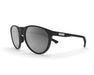 Spektrum Sunglasses Black Frame / Zeiss Grey Lens NULL: Black Frame / Zeiss Grey Lens XMiles